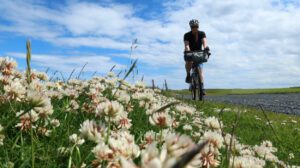 | Visit East Lothian