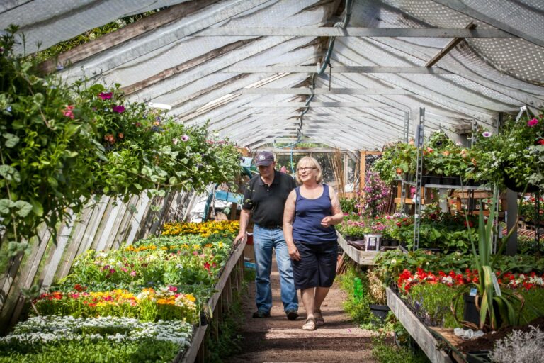 Smeatn Nursery Plants Visit East Lothian 768x512