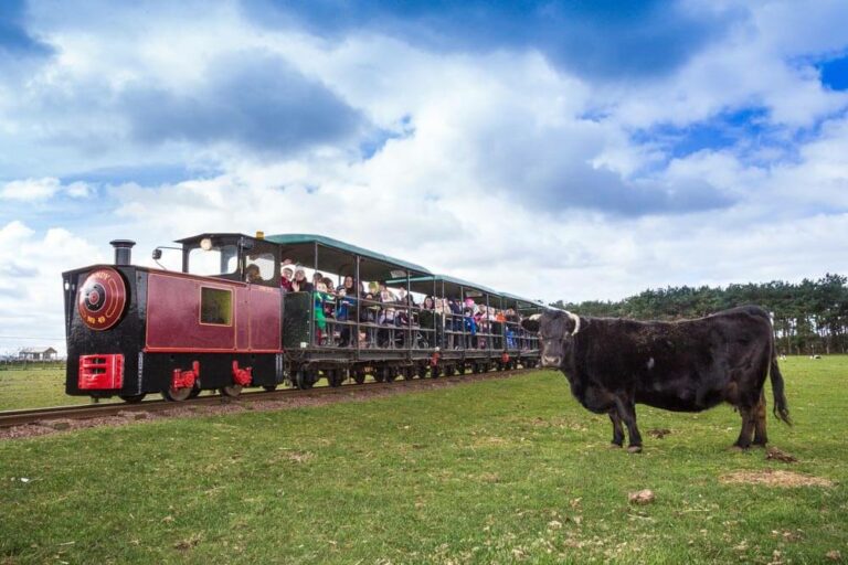 Train 768x512
