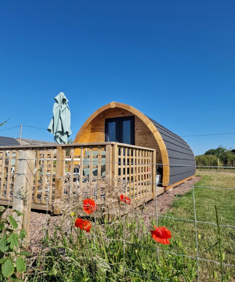 Poppy and Pod 768x920