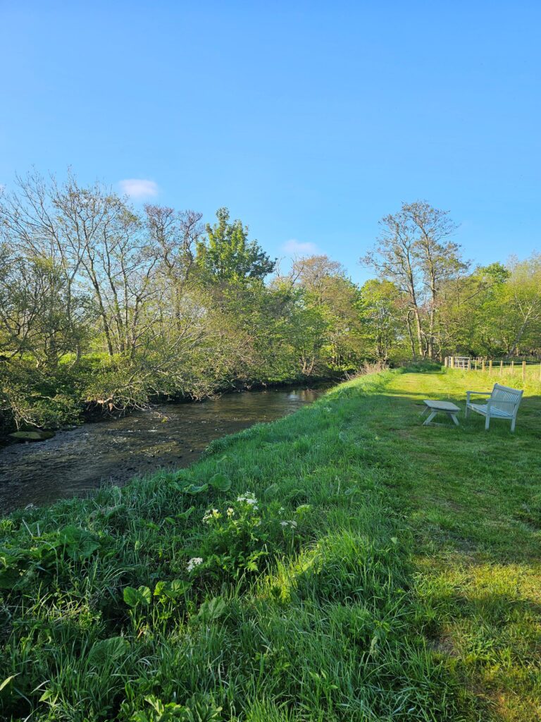 field view resized 768x1024